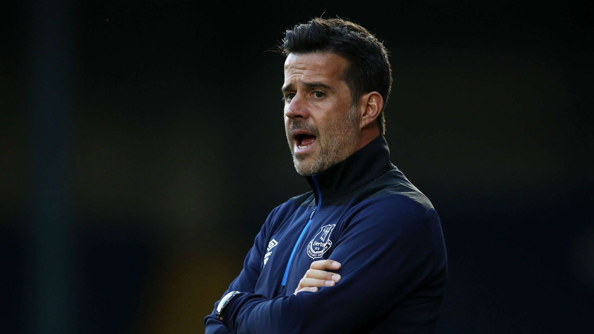 这是一个属 这是一个属